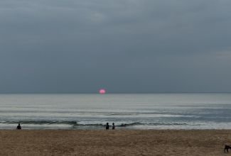 imageportofolio